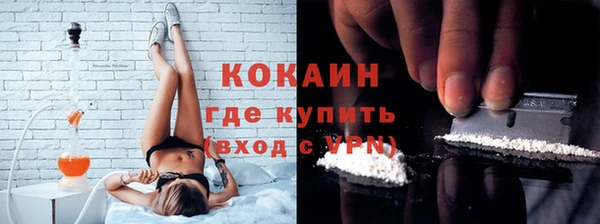 spice Богородицк