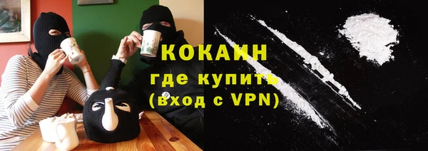 МДПВ Богородск