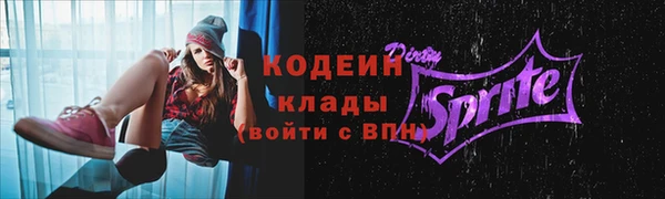 spice Богородицк