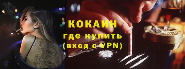 spice Богородицк