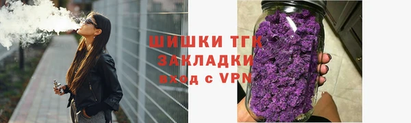 МДПВ Бородино