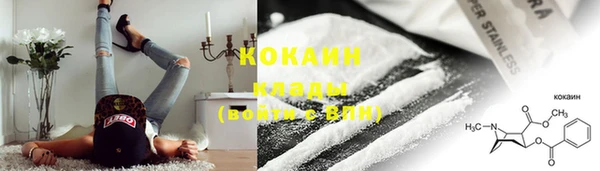 spice Богородицк