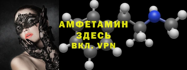 spice Богородицк