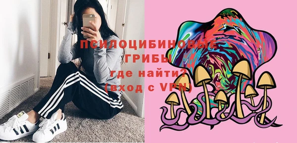 МДПВ Бородино