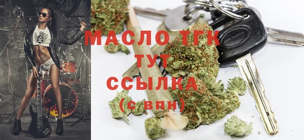 МДПВ Бородино