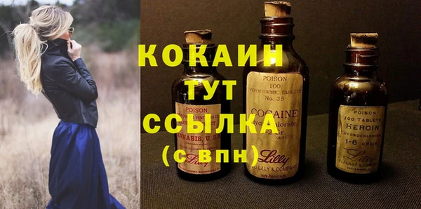 МДПВ Бородино
