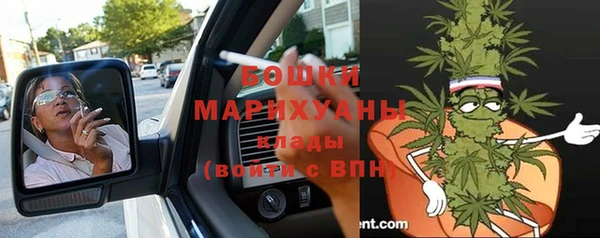 МДПВ Богородск