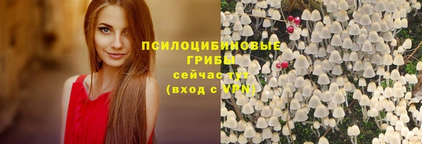 spice Богородицк