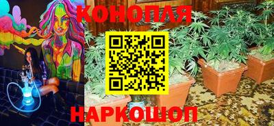 PSILOCYBIN Кунгур