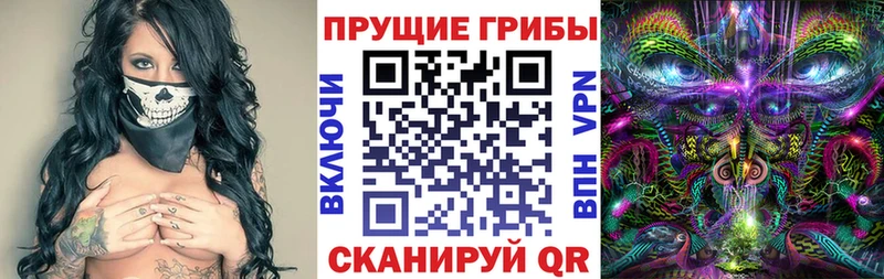 как найти закладки Кузнецк Галлюциногенные грибы MAGIC MUSHROOMS