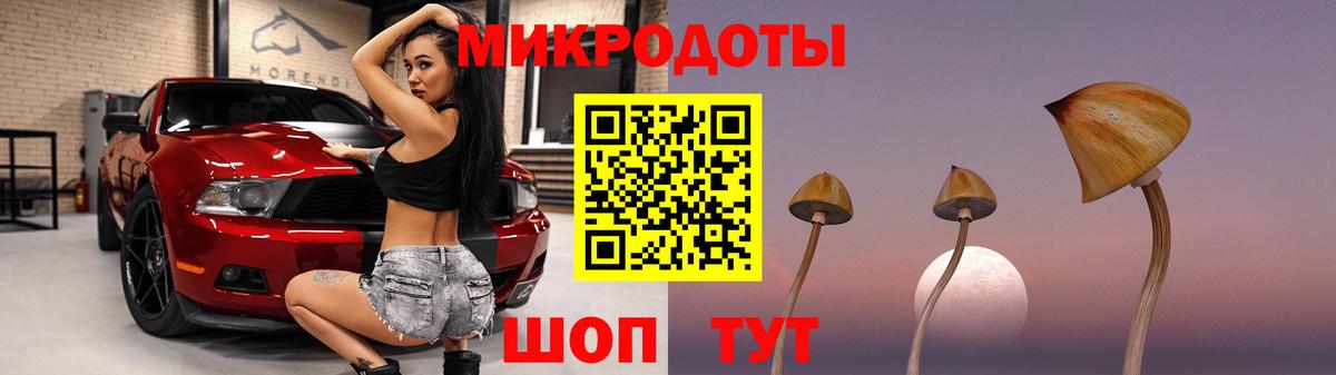 Галлюциногенные грибы MAGIC MUSHROOMS  Вход с VPN  Кузнецк 